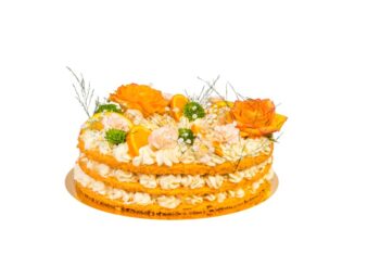 TORT RUSTYKALNY – TR04