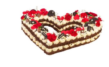 TORT RUSTYKALNY – TR03