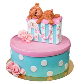Teddy Gift Cake TADZ 12