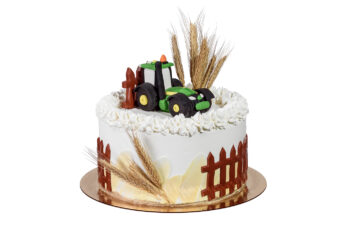 Tort dla chłopca – TKRF01